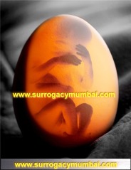 Surrogacy For All