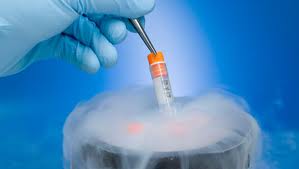 Embryo Adoption Clinics,Egg and embryo donation